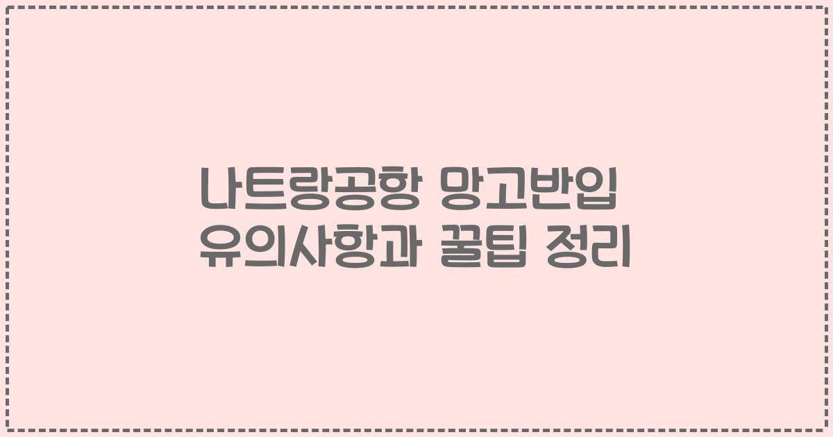 나트랑공항 망고반입 유의사항과 꿀팁 정리